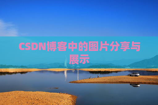 CSDN博客中的图片分享与展示